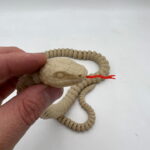 Articulated Snake 4